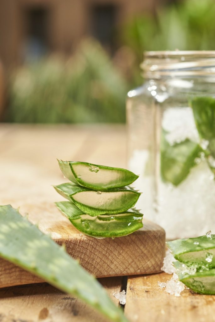 natural medicine, concept of healing properties of aloe vera plant